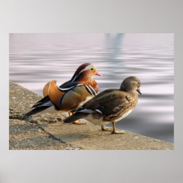 Njut av en tyst kväll! poster