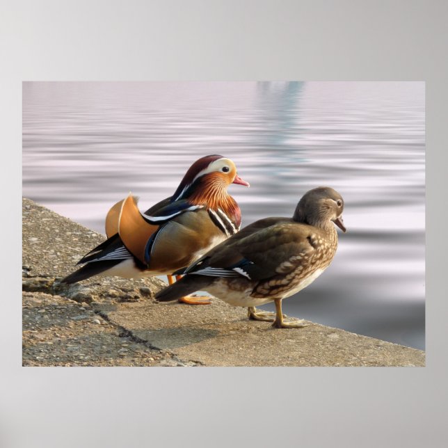 Njut av en tyst kväll! poster (Framsidan)