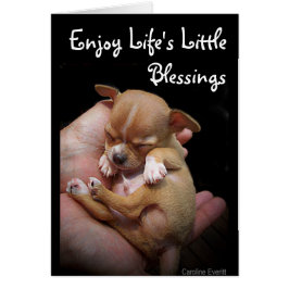 Njut av livets små välsignelser hälsningskort