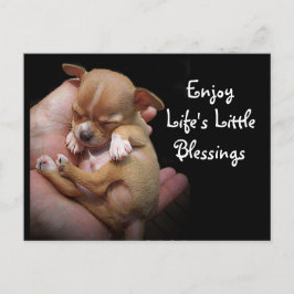 Njut av livets små välsignelser vykort