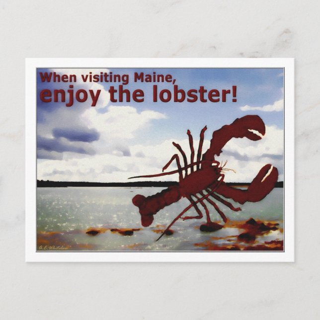 Njut av Maine Lobster! Vykort (Framsida)