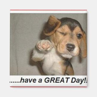 njuta av dagsmagneten magnet