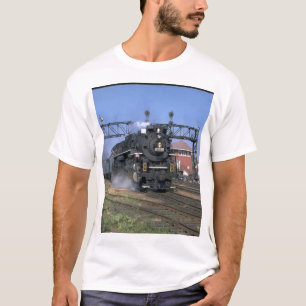 NKP 2-8-4 Berkshire #759 med "_Trains Tee