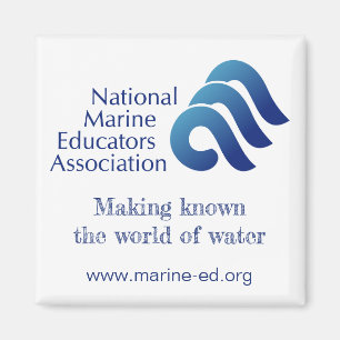 NMEA-magnet Magnet