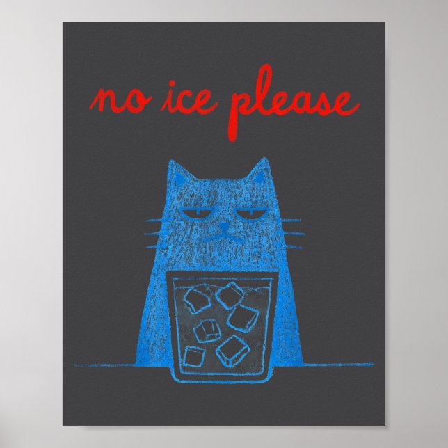 No Ice Please Cat Abolish Chinga La Migra Meme Fun Poster (Framsidan)