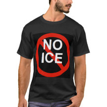 NO ICE 