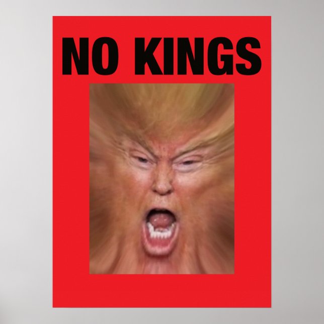 NO KING Dump Trump Poster (Framsidan)