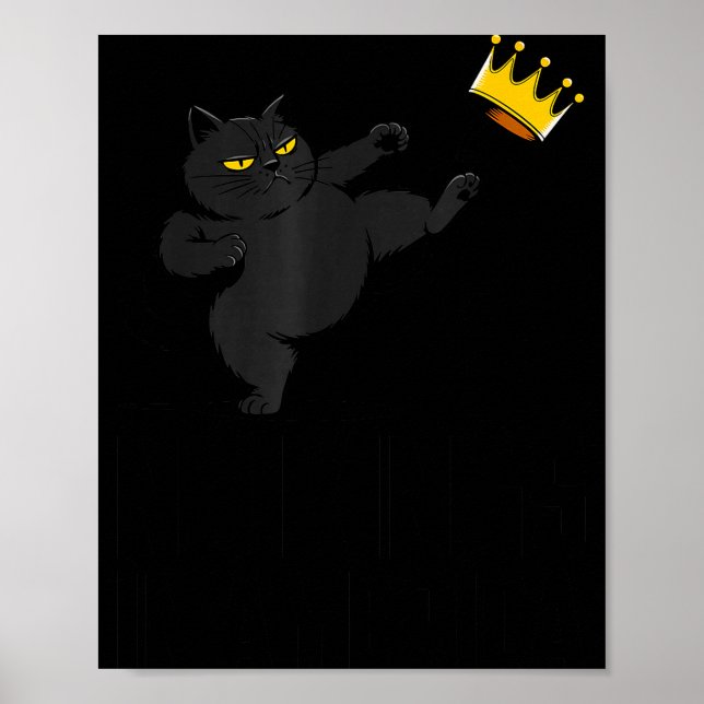 No Kings In America Black Cat Funny Litical Meme 4 Poster (Framsidan)