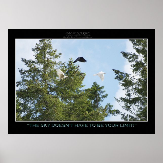 "NO LIMITS" Photo Print or Poster (Framsidan)