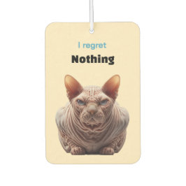 No regret Sphynx Cat