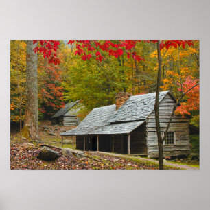 Noah "Bud" Ogle Cabin i Smokies Poster