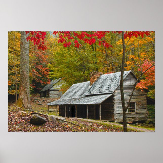 Noah "Bud" Ogle Cabin i Smokies Poster (Framsidan)