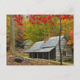 Noah "Bud" Ogle Cabin in the Smokies" Vykort
