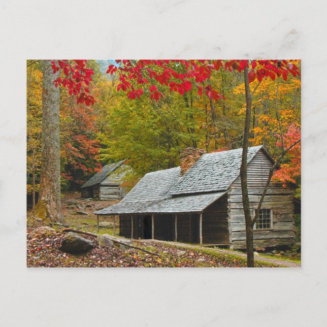 Noah "Bud" Ogle Cabin in the Smokies" Vykort (Framsida)