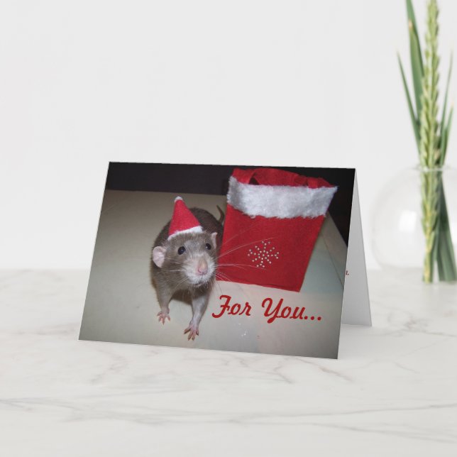 Noah-julkort 2 helgkort (Framsida)