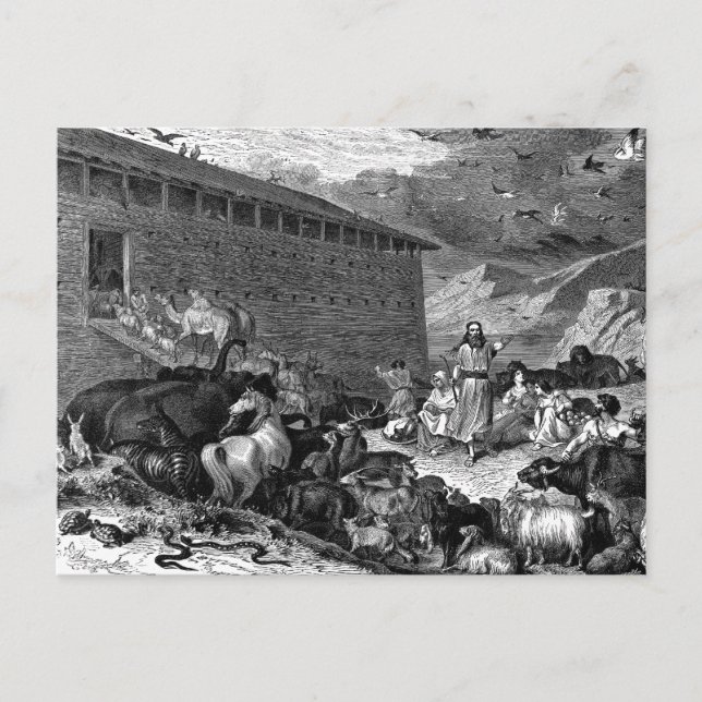 Noah och Ark Vykort (Framsida)