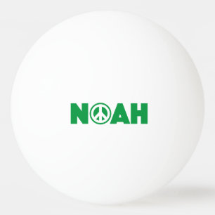Noah Pingisboll