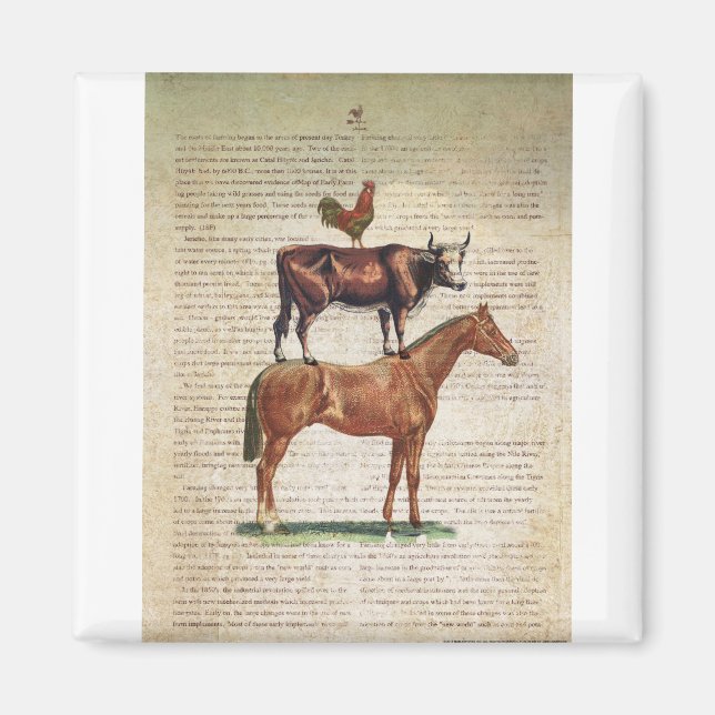 NOB12 Jordbruksställ C1.tif Magnet (Framsidan)