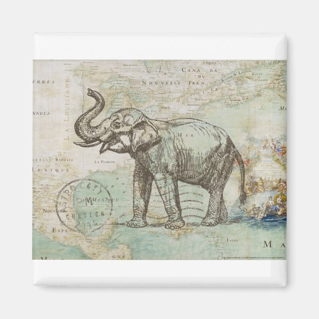 NOB174 Trunk 2.tif Magnet (Framsidan)