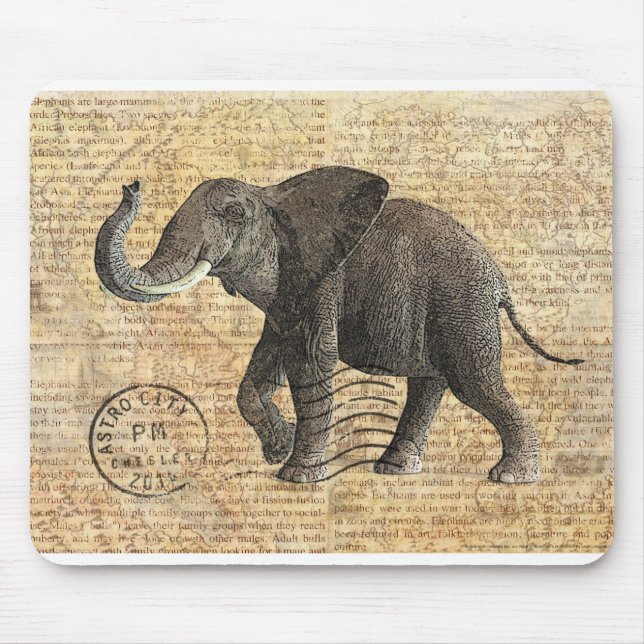 NOB175 lastbil 3.tif Musmatta (Framsidan)