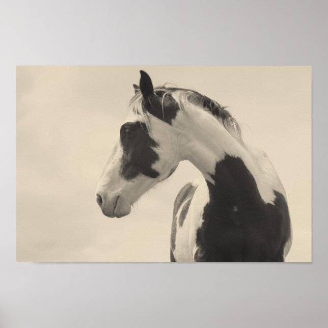 Nobel Beast Poster (Framsidan)