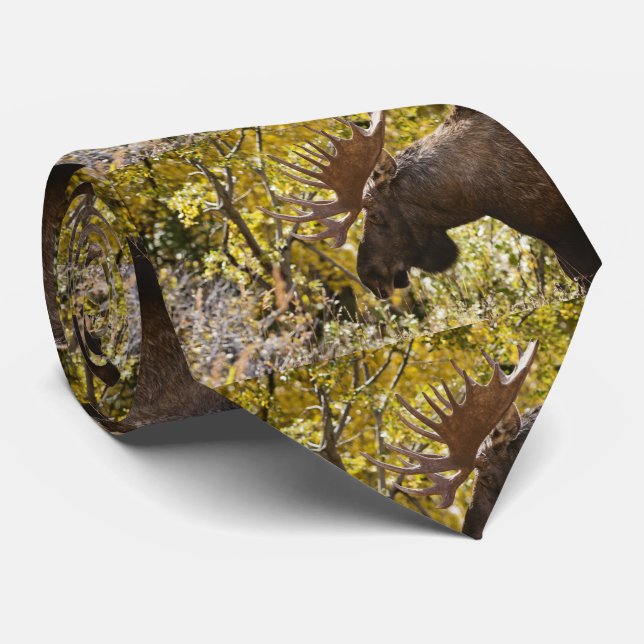 Nobel tjurälg slips (Rullad)