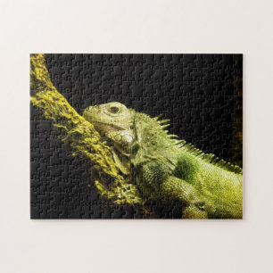 Nobelt leguanpussel pussel