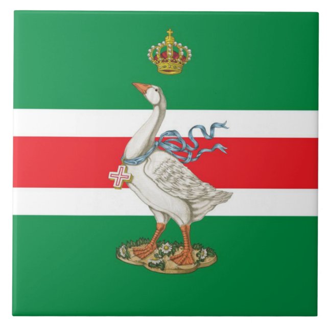 Nobile Contrada dell'Oca (Goose) Palio Kakelplatta (Framsidan)