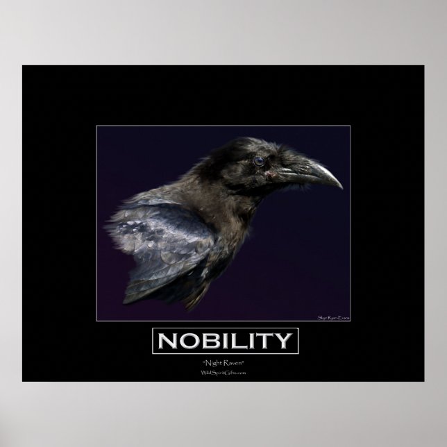 NOBILITY Motivational Raven Portait Poster (Framsidan)