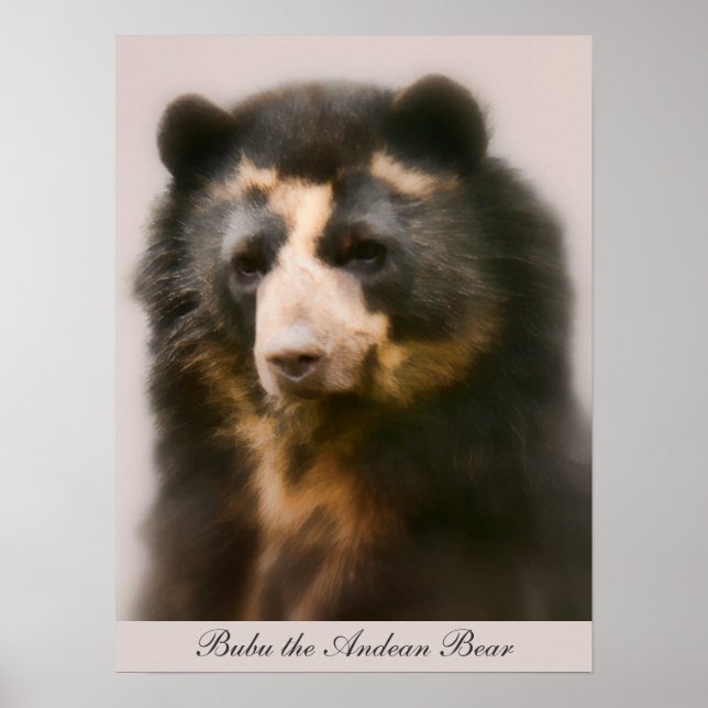 Noble Bubu Porträtt Poster (Framsidan)