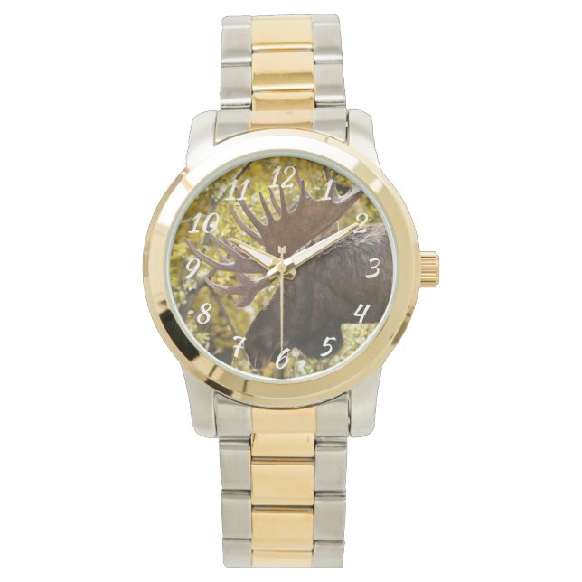 Noble Bull Moose Armbandsur (Framsida)