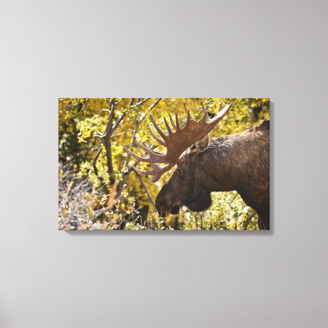 Noble Bull Moose Canvastryck (Framsida)