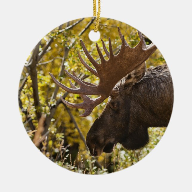 Noble Bull Moose Julgransprydnad Keramik (Framsidan)