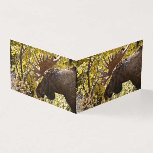 Noble Bull Moose Kort (Utsida)