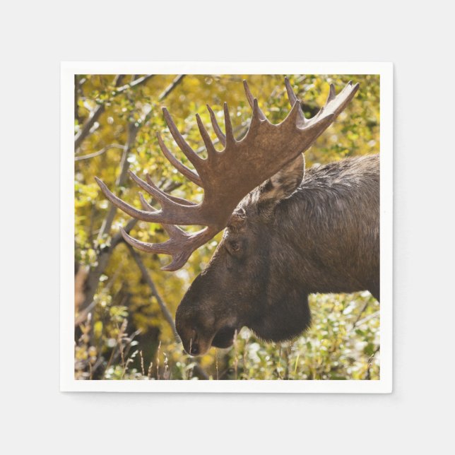 Noble Bull Moose Pappersservett (Framsidan)