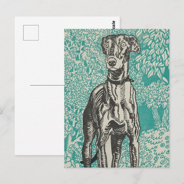 Noble Greyhound Design: Greyhound (1912) Vykort (Fram/baksida)