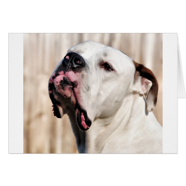 Noble Hälsningskort (Framsidan Horizontal)