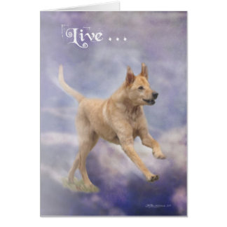 Noble Hälsningskort