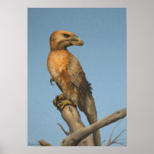 Noble Savage-utskriften