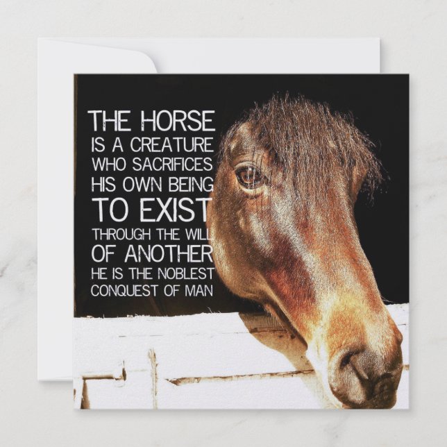 NOBLE STALLION 5.25 x 5.25 card Inbjudningar (Framsida)