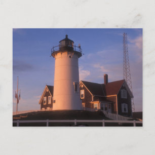 Nobska Lighthouse Skogen Hål Cape Cod Vykort