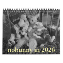 nobunny i 2026 kalender retrospektiv utgåva