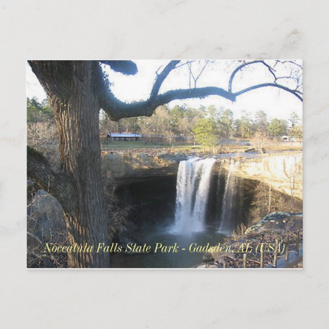 "Noccalula Falls" - Gadsden, AL (1) Vykort (Framsida)