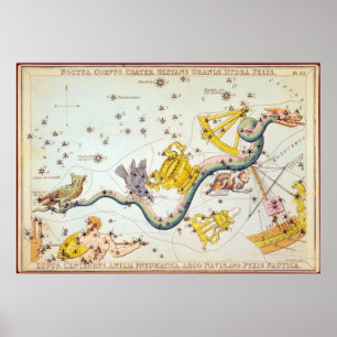 Noctua, Corvus, Crater m.m. Poster