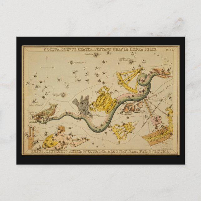 Noctua, Corvus, Hydra, Felis, Lupus, Centaurus, &c Vykort (Framsida)