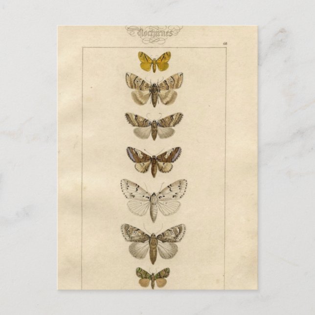 Nocturnes-vykort Vykort (Framsida)