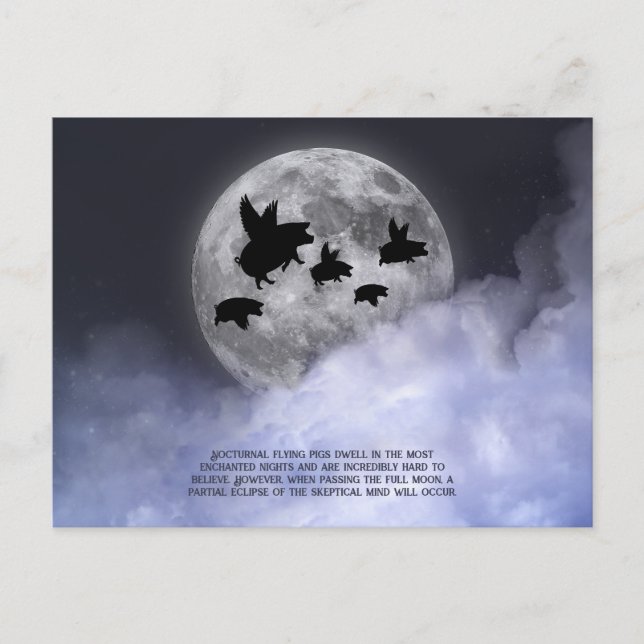 Nocvändal Flies Grisar Vykort (Framsida)