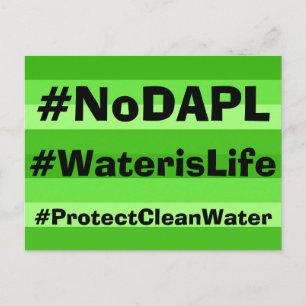 NoDAPL-vykort Vykort