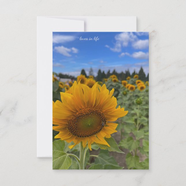 Nodding Solros Anteckningskort (Framsida)