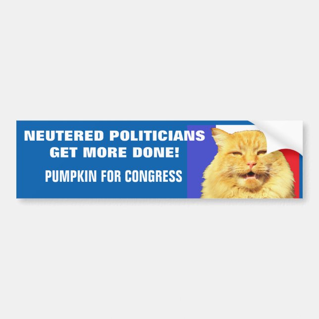 Nödvändig Politikar - KAT-nummer Bildekal (Framsidan)